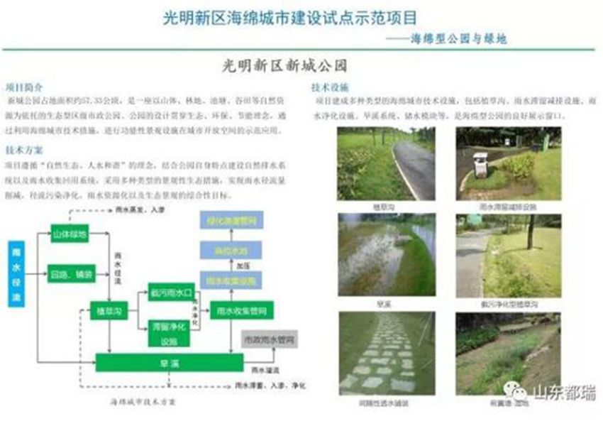 如何理解「海綿城市」的概念？